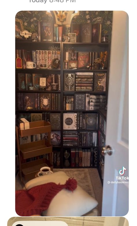 Walk In Book Closet, Walk In Closet Book Nook, Walk In Closet Library, Closet Library Ideas, Book Nook Closet, Closet Library, Library Rooms, Tiny Library, Home Library Rooms