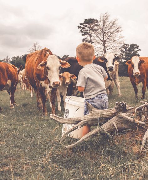 by: Kelley Mae Photography  Find me on Facebook & Instagram  #ranchlife #cows #littleboysandcows Country Ranch, Farm Lifestyle, Farm Kids, Future Farms, Western Life, Dream Family, Farm Photo, Country Kids, Country Lifestyle