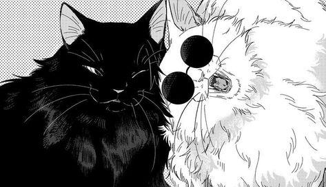 Wallpaper Notebook, Laptop Wallpaper Desktop Wallpapers, Bakugou Manga, Image Swag, Wallpaper Laptop, Kitty Wallpaper, Black And White Wallpaper, Cute Anime Wallpaper, Cat Wallpaper