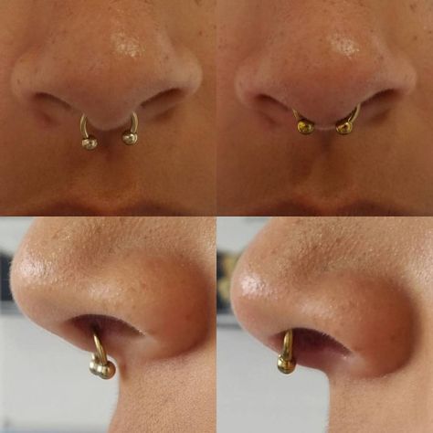 More septum fixing!! The lovely @capital_of_france came in this afternoon with a septum piercing she had done elsewhere (shown on the left) annoyed that septum clickers wouldn’t look good in it… So I took out that 16g 5/16" externally threaded, colour coated, low grade steel circular barbell (which was sold to her as “titanium”) and re pierced her septum up in the sweet spot where it should be, with an @anatometalinc 14g 3/8" hand polished, implant grade ti... Low Septum Piercing, Septum Piercing Close Up, Septum Sizes Chart, Septum Piercing On Different Noses, Septum Placement, Septum Side Profile, 16g Septum Piercing, Septum Piercing Sizes, Septum Piercing Pain Chart