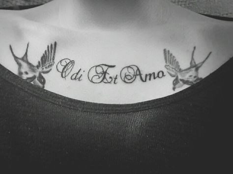 Odi et amo,  "I hate and I love" in Latin Love In Latin, Latin Tattoo, Odi Et Amo, Skin Art, Tattoo Inspo, Memento Mori, Tattoo Quotes, Love Quotes, I Love