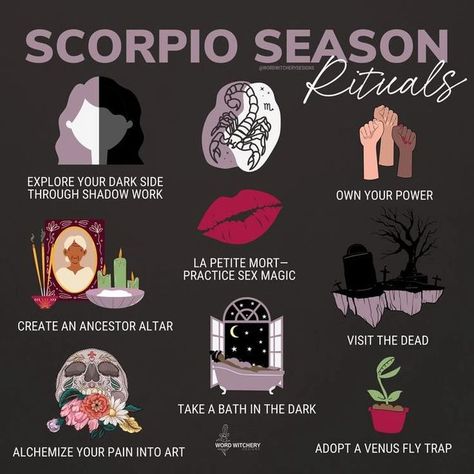 Scorpio Season Rituals, Scorpio Season Aesthetic, New Moon Scorpio, Scorpio Magic, Scorpio Pluto, Aesthetic Scorpio, Zodiac Mind Scorpio, Scorpio Fashion, Zodiac Quotes Scorpio