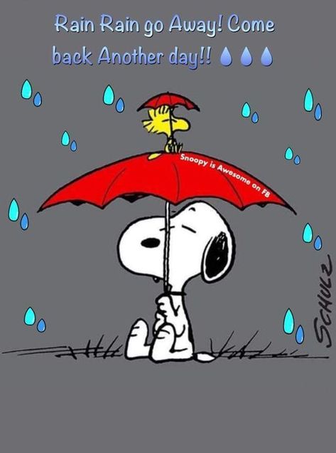 Rainy days Rainy Day Images, Good Morning Rain, Rainy Day Quotes, Charlie Brown Characters, Snoopy Tattoo, Peanut Gang, Good Morning Snoopy, Peanuts Charlie Brown Snoopy, Snoopy Comics