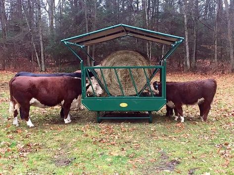 Cow Hay Feeder, Cow Feeder, Diy Hay Feeder, Show Cattle Barn, Goat Hay Feeder, Feeder Cattle, Cattle Pens, Animal Management, Hay Feeder For Horses