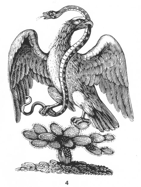 Eagle, snake, cactus Mexican Flag Tattoos, Mexican Flag Eagle, Free Spirit Art, Bald Eagle Art, Mexico Tattoo, Mexican Eagle, Mexican Tattoo, Mexican Artwork, Mexican Art Tattoos