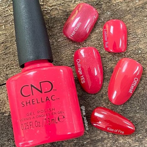 Cnd Red Shellac Colors, Cnd Shellac Red Colors, Cnd Shellac Cherry Apple, Cnd Shellac Wooded Bliss, Cnd Shellac Dark Lava, Cnd Shellac, Lobster Roll, Beauty Nails, Fashion Nails