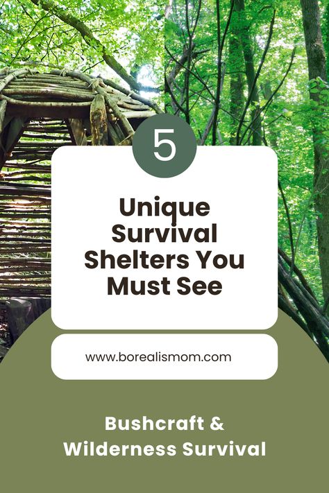 Discover 5 unconventional survival shelters you need to know about! 💡 From DIY ideas to primitive outdoor hacks, we've got you covered! Learn how to build a wilderness shelter underground, in the Bushcraft style, and more! 🏕️ Underground Shelter Diy, Bushcraft Shelter Long Term, Wilderness Shelter, Underground Survival Shelters, Wilderness Survival Shelter, Outdoor Hacks, Bushcraft Shelter, Underground Shelter, Primitive Survival