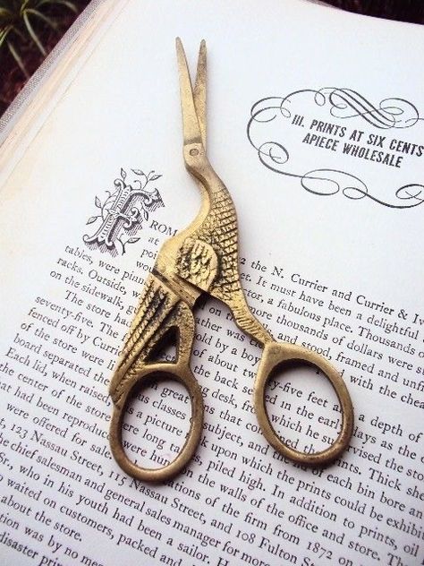 Kayo Sudou, Bird Scissors, Victorian Tattoo, Antique Things, Best Scissors, Vintage Scissors, Sewing Vintage, Pinking Shears, Sewing Scissors