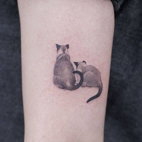 Cat Couple Tattoo, Siamese Cat Tattoos, Tattoo Gato, Tattoo On The Back, Kitten Tattoo, Inspo Tattoo, Cat Tattoo Simple, Shadow Tattoo, Black Cat Tattoos