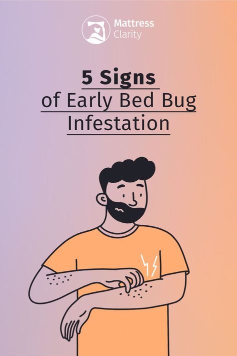 We dive into the early signs to look out for, how to best get rid of bed bugs, and answers to some frequently asked questions. Signs Of Bed Bugs, Get Rid Of Bed Bugs, Bug Infestation, Bug Spray Recipe, Rid Of Bed Bugs, Bed Bug Bites, Sleep Guide, Bed Bug, Sleep Mattress