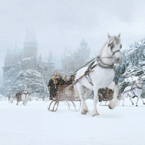 Hogwarts in the snow. #HarryPotter Photo Facts, Castle Aesthetic, Hogwarts Aesthetic, Harry Potter Films, Harry Potter Film, Albus Dumbledore, Harry Potter Aesthetic, Wizarding World Of Harry Potter, Horse Drawn