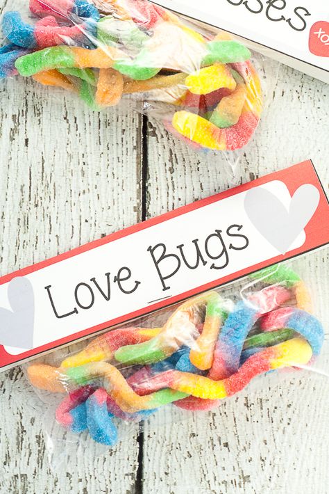 Free Printable Gummy Worm Valentines for kids - Free Gummy Worm Valentine Printables that are easy to put together and perfect for kids to hand out at their school Valentine's Day party. Worm Valentine, Gummy Worm Valentine, Valentines Diy Kids, Gummy Worm, Valentine Printables, Valentinstag Party, Valentine Gifts For Kids, Valentine Gifts For Husband, Valentines Day Food