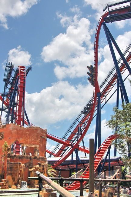 SheiKra, Busch Gardens, Tampa, FL. Longest vertical drop in the world. Done Sheikra Busch Gardens, Busch Gardens Tampa Pictures, Busch Gardens Aesthetic, Preppy Island, Coaster Aesthetic, Roller Coaster Park, Roller Coaster Pictures, Best Roller Coasters, Busch Gardens Tampa Bay