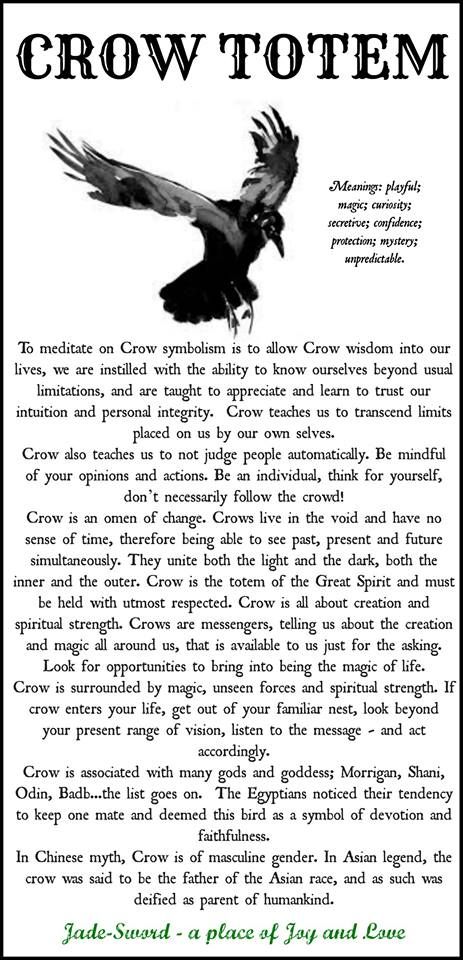 Crow Totem Crow Magic Witch, Spirit Animal Crow, Crow Animal Spirit, Crow Sightings Meaning, Crows Spirituality, Crow Familiar, Crow Symbolism, Crow Magic, Crow Witch