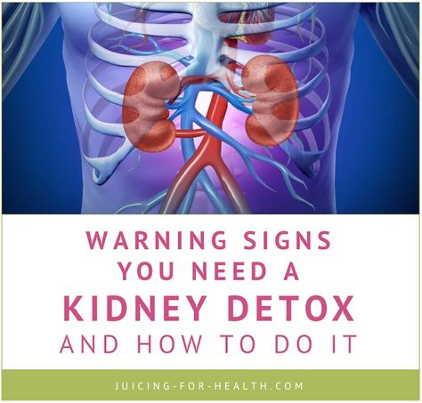 Signs You Need A Kidney Detox And How To Do It Kidney Healing, Bones Heart, Lower Back Pain Remedies, Sausage And Potato Bake, Kidney Detox Cleanse, Home Made Remedies, Kidney Pain, Severe Back Pain, Kidney Detox