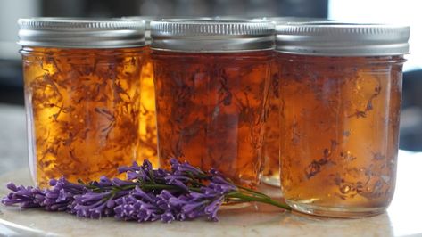 Apple Core Jelly Recipe, Apple Jelly Recipe Easy With Apple Juice, Apple Sage Jelly, Apple Jelly Made With Honey, Violet Jelly, Lilac Jelly, Jelly Store, Canning Equipment, Canning 101