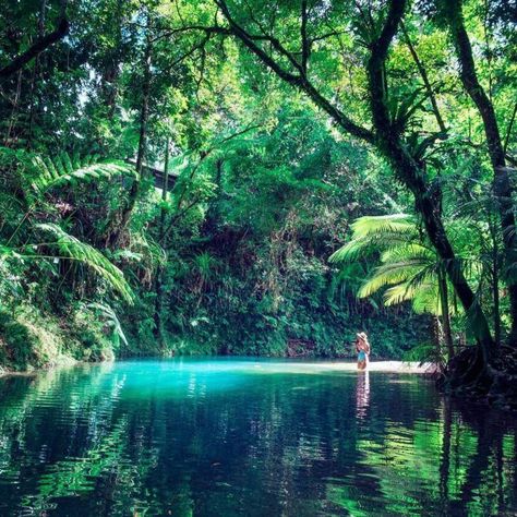 Jungle Pictures, Jungle Life, Daintree Rainforest, Tropical Rainforest, Samoa, Nature Aesthetic, Pretty Places, Australia Travel, Dream Destinations