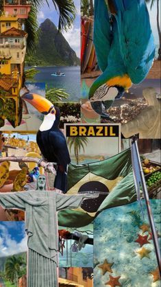 Rio Festival Aesthetic, Brazil Wallpaper, Cheap Airline Tickets, Ivf Cycle, Travel Collage, Cute Summer Wallpapers, Summer Scrapbook, Brazil Travel, Dream Vacations Destinations