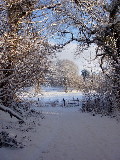 Cullybackey, 18th December 2010 Evermore Winter, Snowy Vibes, Winters Tafereel, Snow Landscape, Beautiful Snow, Snowy Landscape, Irish Culture, Winter's Tale, Winter Sunset