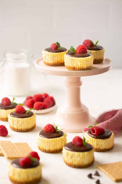 Mini Cheesecake Topping Ideas, Mini Cheesecake Photography, Mini Cheesecake Bites Chocolate, Mini Cheesecakes Different Flavors, Cherry Cheesecake Mini, Cheesecakes Bites, Cheesecake Designs, Mini Cheesecakes Caramel, Assorted Mini Cheesecakes