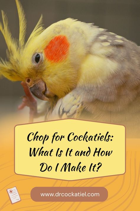 Cockatiels, Pet Birds, Bird Owners, Chop for Cockatiels Cockatiel Chop Recipe, Cockatiel Cage Setup, Diy Cockatiel Toys, Cockatiel Aesthetic, Parrot Chop, Cockatiel Food, Tasty Healthy Meals, Cockatiel Care, Cockatiel Toys