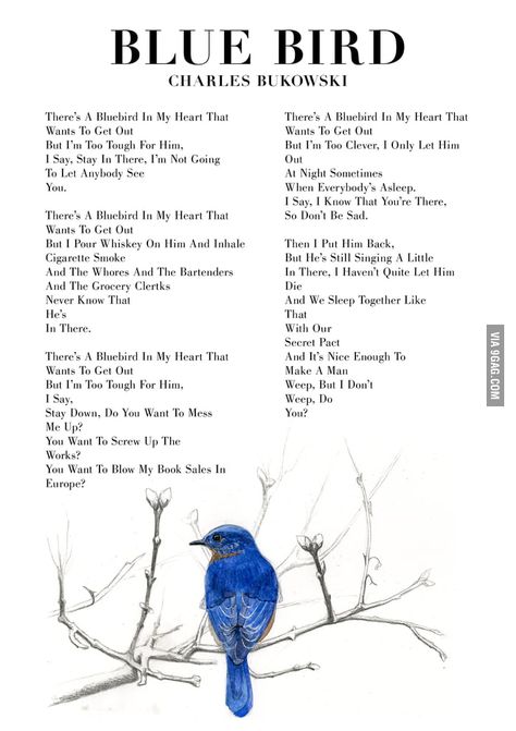 Charles Bukowski Blue Bird Bluebird Poem Bukowski, Bluebird Charles Bukowski Poem, Bluebird By Charles Bukowski, Blue Bird Quotes, Bukowski Quotes Poetry, Blue Bird Charles Bukowski, Bluebird Bukowski, Charles Bukowski Tattoos, Bluebird Charles Bukowski