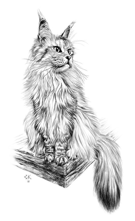 Photo To Line Drawing, Cute Cat Tattoo, Horse Art Drawing, Cat Drawing Tutorial, Pencil Drawings Of Animals, Colored Pencil Artwork, Cat Art Illustration, Sketches Of People, Cat Doodle