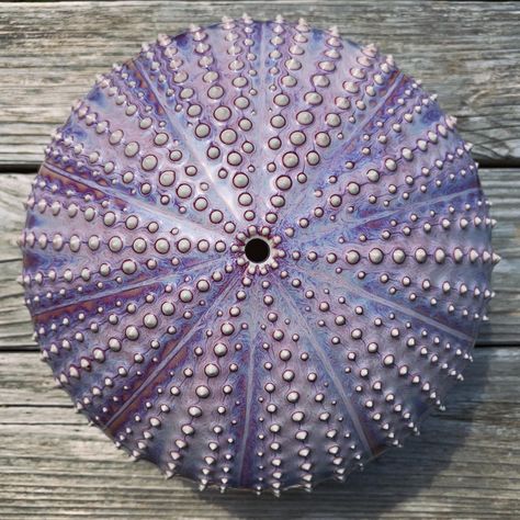 KimberlyHardy — Orcas Island Pottery Sea Urchins Art, Deep Sea Life, Coral Sculpture, Sea Urchin Shell, Sea Sculpture, Orcas Island, Wheel Throwing, Maori Art, Outdoor Living Room