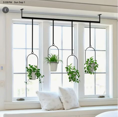 Window Plant Ideas, Shelf Above Window, Plant Pulley, Slide Out Storage, Window Ceiling, Herb Garden Wall, Kitchen Bay Window, Garden Railings, Kitchen Lighting Design