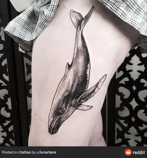 Pencil Tattoo, Whale Tattoo, Whale Illustration, Sea Tattoo, Whale Tattoos, Dot Work Tattoo, A Whale, Tattoos Ideas, Line Tattoos