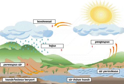 siklus air Water Cycle For Kids, 3rd Grade Math Worksheets, Easy Piano Songs, Slp Activities, Air Air, English Worksheets For Kids, Village Photography, Water Cycle, Anime Recommendations