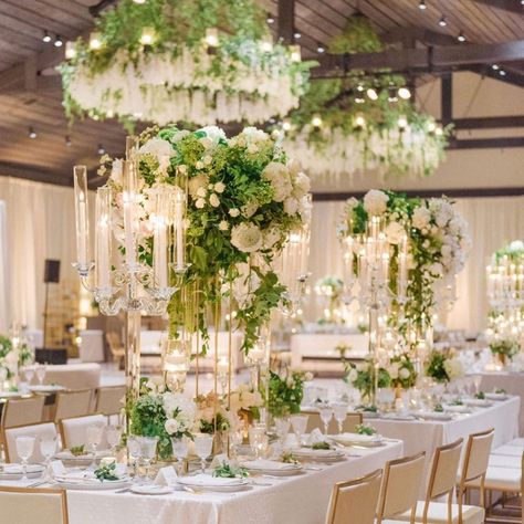 The Hidden Garden on Instagram: “The glow of romance filled the room 🌟💕 📸 @janawilliamsphotos_ 👩🏻‍💻 @alexandrakr  #weddingflowers #weddingreception” Theoni Collection, Ivory Napkins, Weddings Decorations Elegant Romantic, Wedding Palettes, Indoor Wedding Decorations, Botanical Garden Wedding Invitations, Tuscan Hills, Vineyard Weddings, Tall Centerpiece