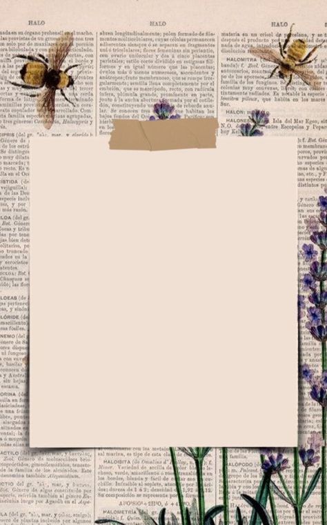 Topeng Mata, Sampul Notebook, Bond Paper Design, Wallpaper Estetika, Note Writing Paper, Vintage Paper Background, Paper Background Design, Power Points, Photo Frame Design