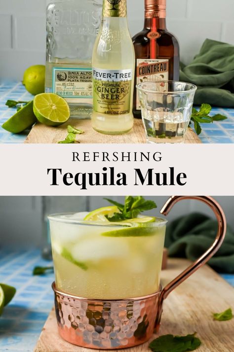 This Tequila Mule recipe (a.k.a. Mexican Mule) combines the zesty kick of tequila with the refreshing tang of ginger beer, creating a spirited twist on the classic Moscow Mule. Garnished with a wedge of lime and served over ice, it's a delightful concoction perfect for any occasion. Mexican Mule Recipe, Watermelon Vodka Slush, Tequila Mule, Mexican Mule, Mule Drink, Vodka Slush, Ginger Beer Cocktail, Tequila Recipe, Moscow Mule Recipe