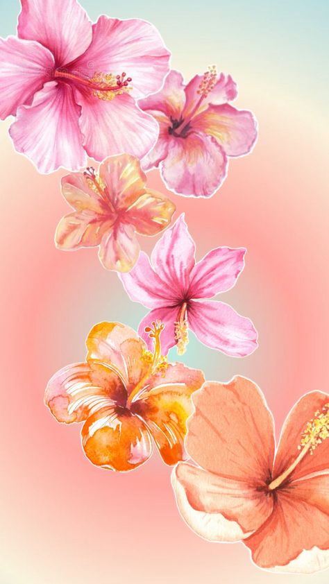 #wallpaper #hibiscus #floral #summer #aura Summer Themed Wallpaper, Summer Aura, Hibiscus Flower Drawing, Imac Wallpaper, Wallpaper Design Pattern, Hawaii Flowers, Cute Summer Wallpapers, Rainbow Aura, Mood Wallpaper