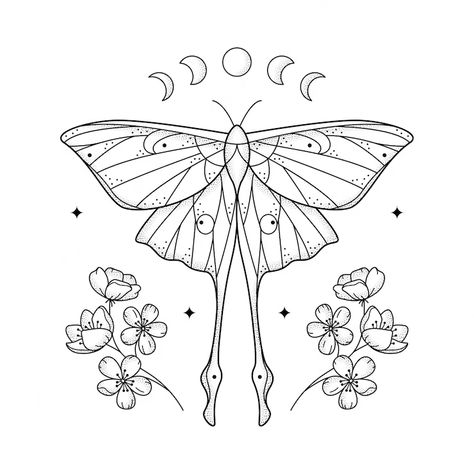 Premium Vector | Celestial grainy line geometric luna moth with moon phases and flowers mystic geometry butterfly with floral arrangement Moth Outline, Geometry Butterfly, Luna Moth Tattoo, Moth Drawing, Moth Tattoo Design, Moon Phases Tattoo, Lunar Moth, Moon Moth, Moth Art