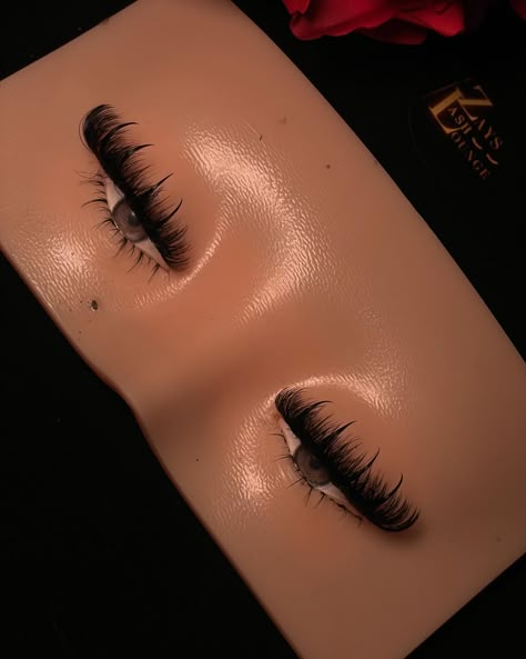 Nová strip Lash😍😍 #customstriplashes #striplashes #handmadestriplashes Custom Lash Strips, Business Lashes, Lashes Collection, Lash Decor, Lash Maps, Lash Strips, Lash Map, Lashes Tutorial, Cute Lizard