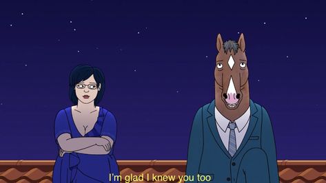 Bojack And Diane, Diane Nguyen, Color In Film, Bojack Horseman, Boy Best Friend, Man Icon, Boys Wallpaper, Nerd Geek, Cartoon Profile Pics