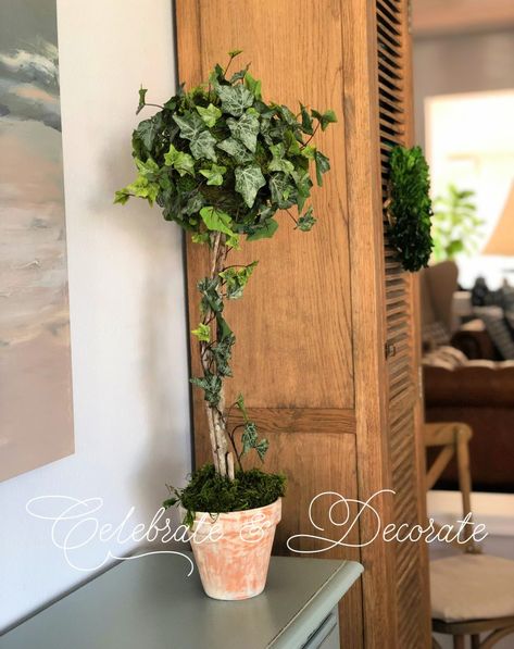 Make an Ivy Topiary - Celebrate & Decorate Ivy Topiary, Urban Gardening Ideas, Topiary Diy, Christmas Topiary, Terra Cotta Pots, Garden Obelisk, Terra Cotta Pot, Garden Shelves, Paper Rosettes