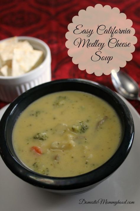 California Medley Soup Recipe, California Blend Soup, California Medley Soup, Pickle Soup Recipe, Future Restaurant, Pickle Soup, Broccoli Potato, Cheddar Broccoli, Recipes Soup