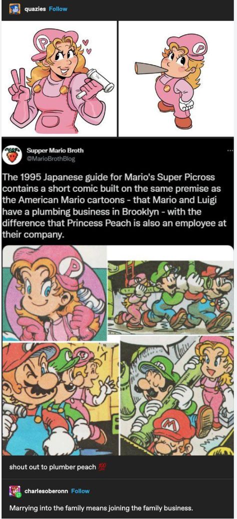 Mario Comics Funny, Looker Pokemon Fanart, Front Facing Yoshi, Super Mario Art Fanart, Super Mario Movie Fanart, Princess X Princess, Mario Movie Fanart, Peach X Bowser, Super Mario Fanart