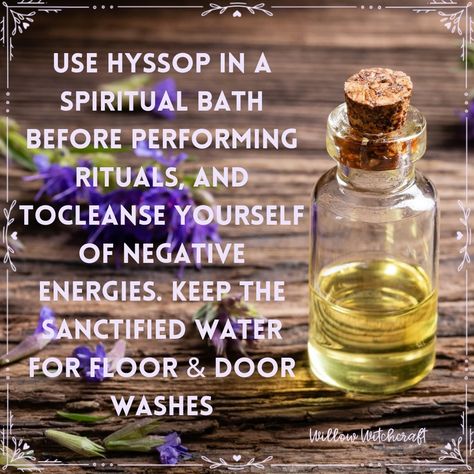 Willow Witchcraft Hyssop Witchcraft, Hyssop Magical Properties, Spiritual Cleansing Bath, Spiritual Baths, Cleansing Bath, Herbal Witch, Witchy House, Witch Tips, Witchy Tips