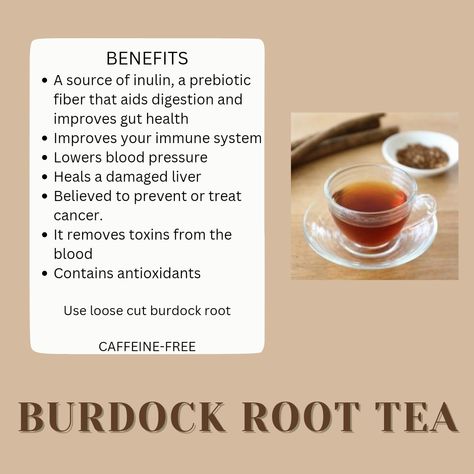 Burdock root tea benefits Burdock Tea Benefits, Burdick Root Benefits, Burdock Root Oil Diy, Burdock Root Tea Benefits, Burdock Root Powder Benefits, Burdock Root Recipes Teas, Burdock Root Benefits, Burdock Tea, How To Harvest Burdock Root