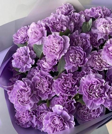 Purple Carnation Bouquet, Plumper Lips, Purple Carnations, Carnation Bouquet, Flower Boquet, Nothing But Flowers, Carnation Flower, Flower Therapy, Month Flowers