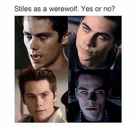 Teen Wolf Werewolf, Teen Wolf Fan Art, Teen Wolf Art, Наташа Romanoff, Teen Wolf Ships, Teen Wolf Quotes, Teen Wolf Memes, Dylan Obrian, Teen Wolf Funny