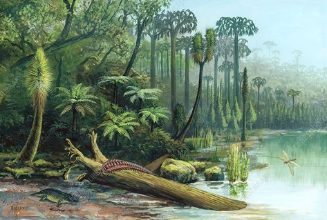 Carboniferous landscape, artwork - Stock Image - C016/5346 - Science Photo Library Dinosaur Crafts Preschool, Prehistoric Period, Architectural Masterpieces, Prehistoric Wildlife, Prehistoric World, Dinosaur Crafts, Paleo Art, Ocean Crafts, Science Photos