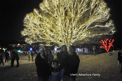 Tree of Life in Draper City Christmas Lights, Massive Tree, Utah Winter, Draper Utah, City Christmas, Utah Adventures, Adventure Family, Mormon Temple, The Book Of Mormon