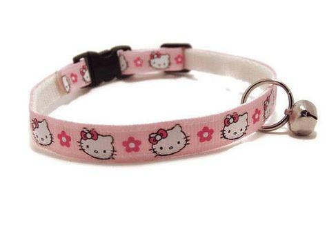 Wishlist White Background, Kitty Accessories, Pet Spaces, Cat Items, Puppy Play, Silly Dogs, Hello Kitty Items, Cat Room, Cat Decor