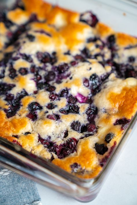 Blueberry Cream Cheese Recipes, Quick Blueberry Desserts, Easy Blueberry Desserts Simple, Blueberry Dessert Recipes Easy, Blueberry Cream Cheese Cobbler, Dried Blueberry Recipes, Blueberry Cream Cheese Dessert, Blueberry Cream Cheese Bread, Blueberry Dessert Recipes