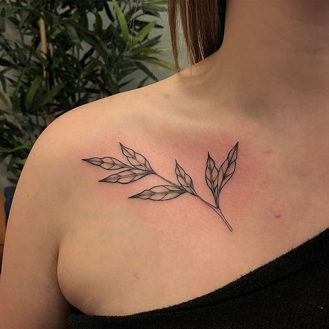 Leafy Branch for Katrina! 🌿 flash done at @inkbox Lotus Flower Tattoo, Leaf Tattoos, Maple Leaf Tattoo, Flower Tattoo, Tattoo Ideas, Flash, Portfolio, Tattoos, Instagram